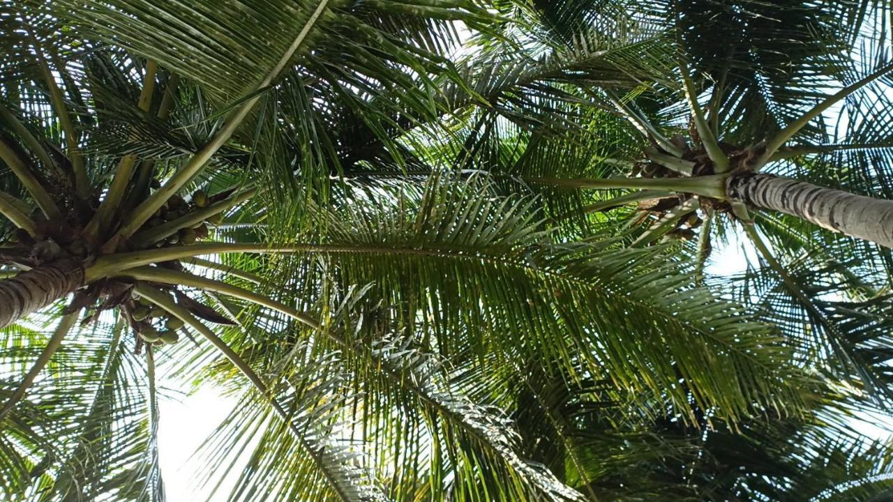 شقة Gangi Kota North Flat Kovvur المظهر الخارجي الصورة